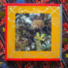 THE TREASURE BOX, hand painted by ALAN SILVA - Image 2